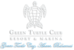 Green Turtle Logo